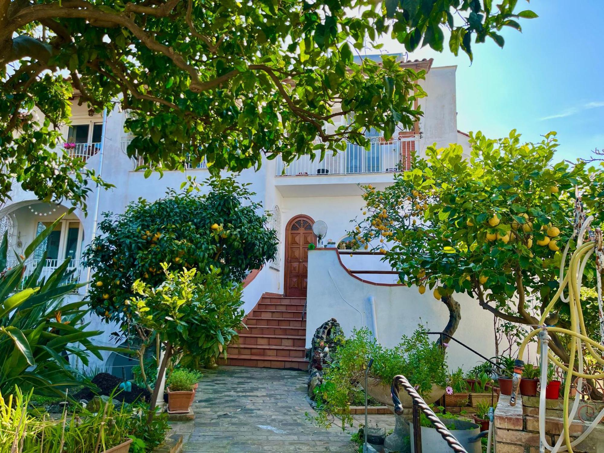 Villa Elke Ischia Kültér fotó